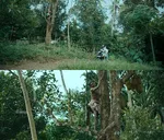 alencier lay lopez memes, memes, plain memes, alencier lay lopez plain meme, Malayalam memes - Chakkayidaan kayariyathaano